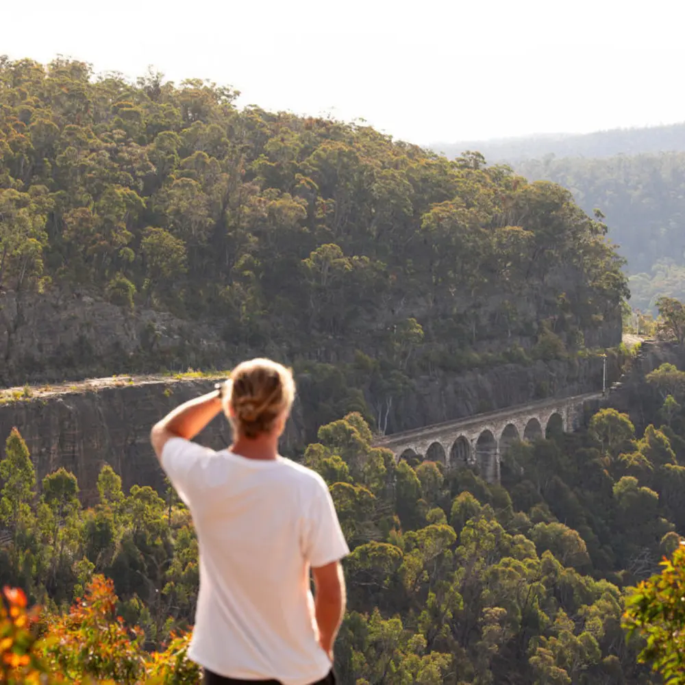 Billy, Blue Mountains