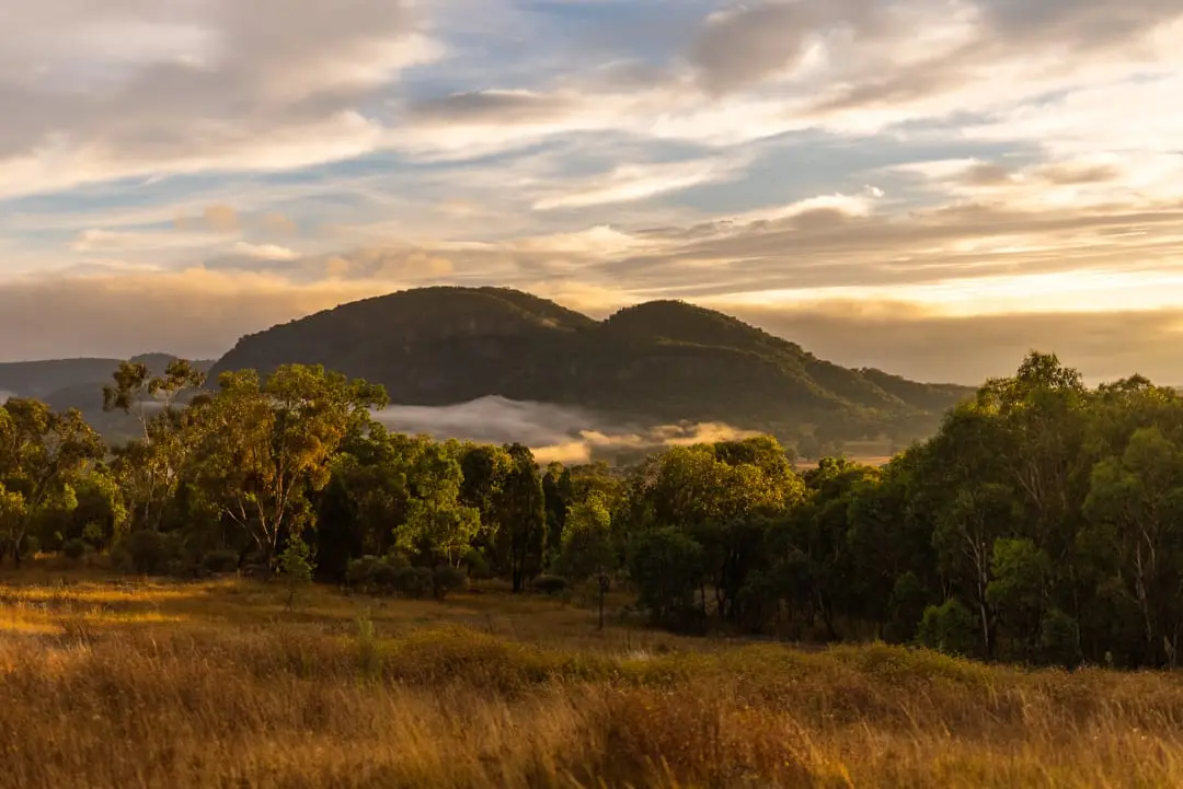 Tiny Harry is named after the iconic series, Harry Potter.
