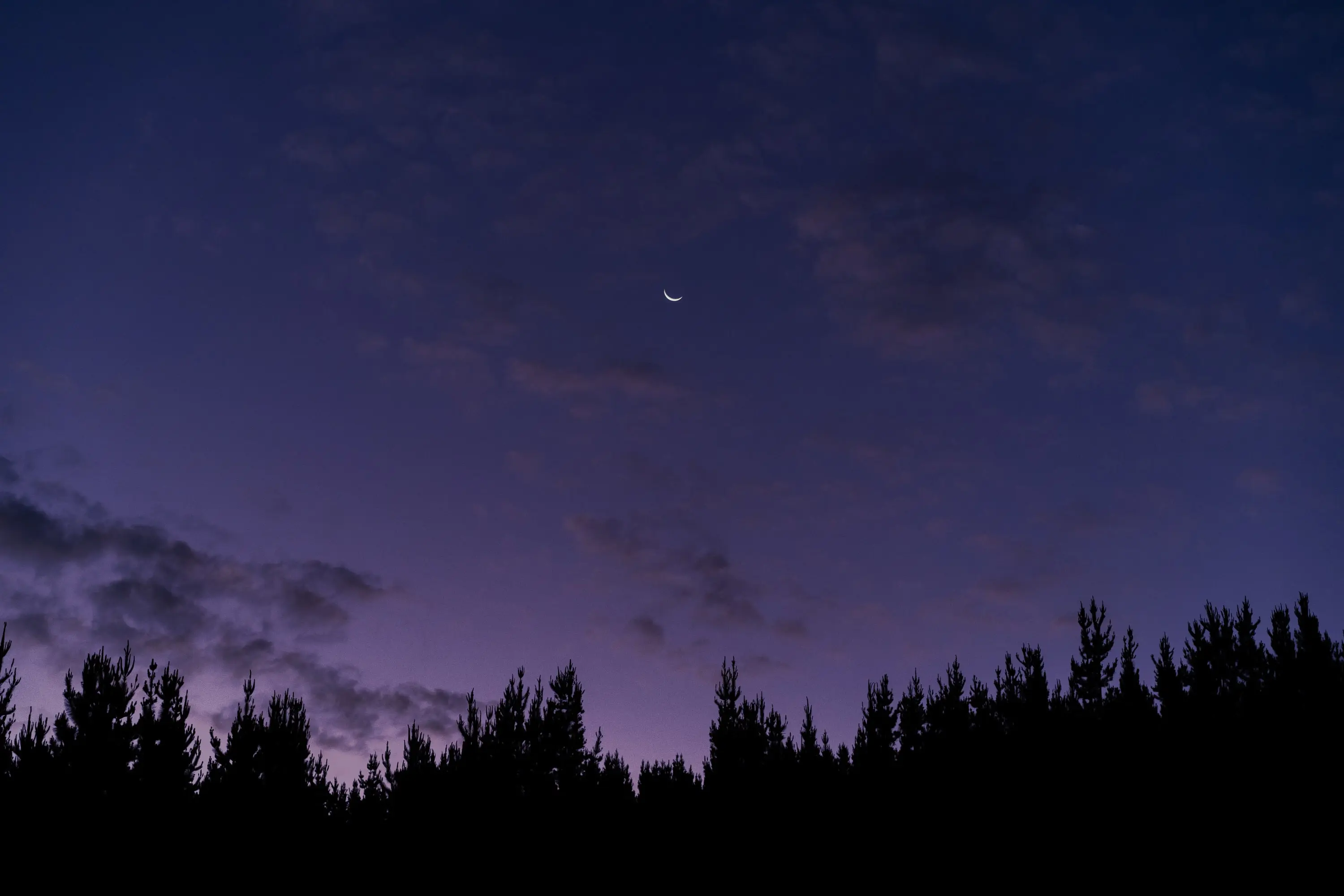 Aptly named after the The Lion, the Witch and the Wardrobe’s inquisitive youngster, Lucy.