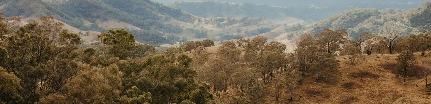 Tiny Aggie is named after the adorable children's book series, Aggie and Ben.