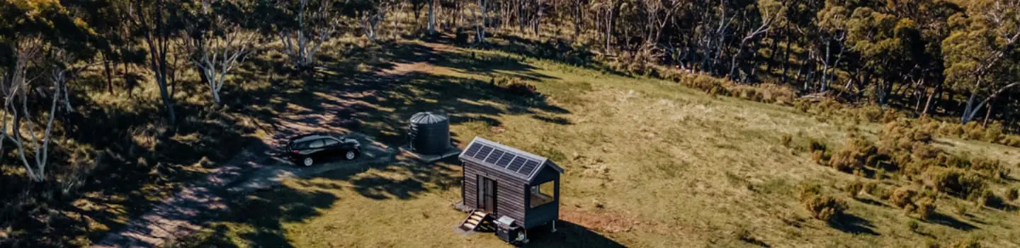 A resilient soul and romantic heart, Tiny Tristan is named after the medieval legend, Tristan and the Isolde.