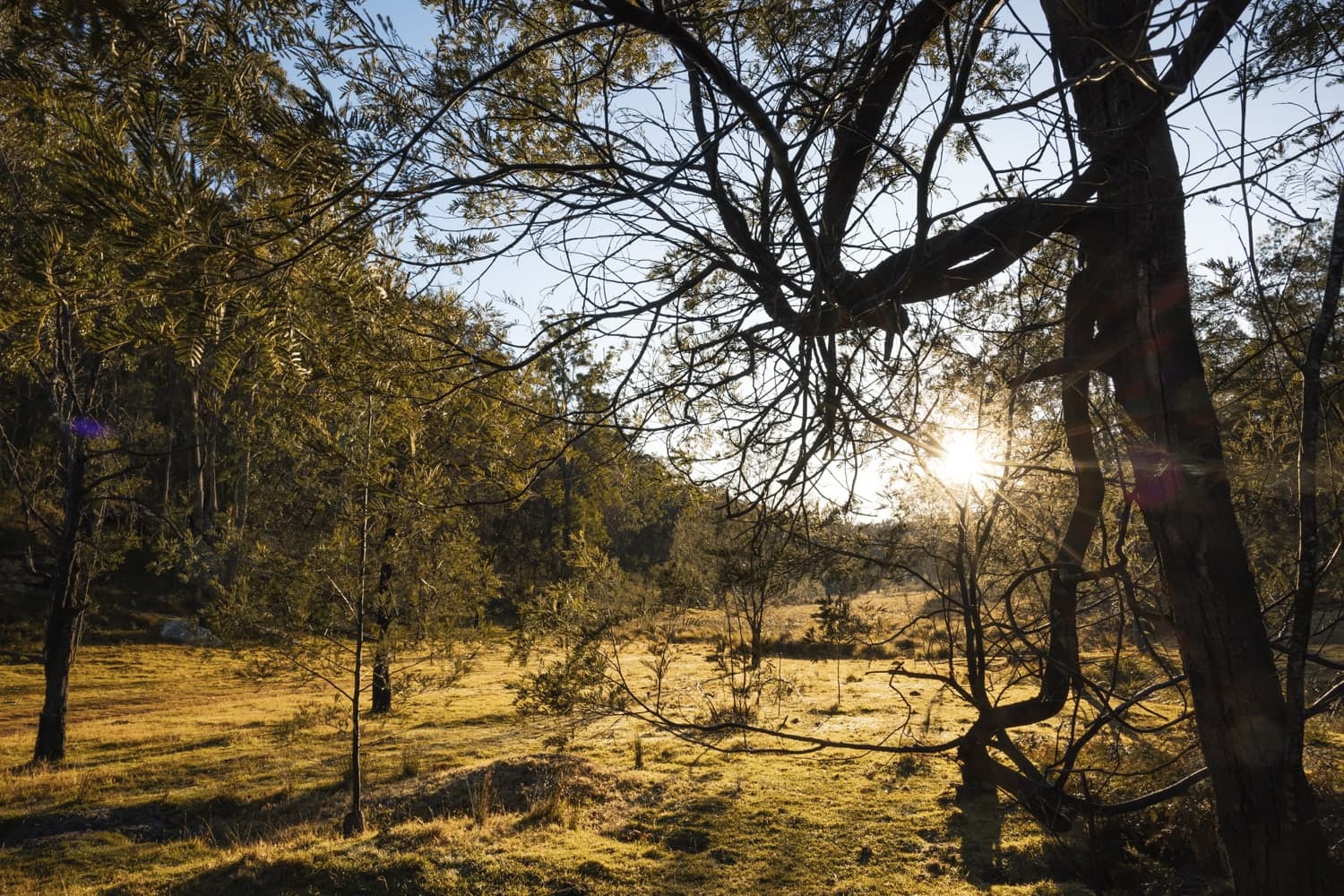 Relishing a nomadic life in the wilderness, Tiny Christopher is aptly named after Into the Wild’s Christopher McCandless.