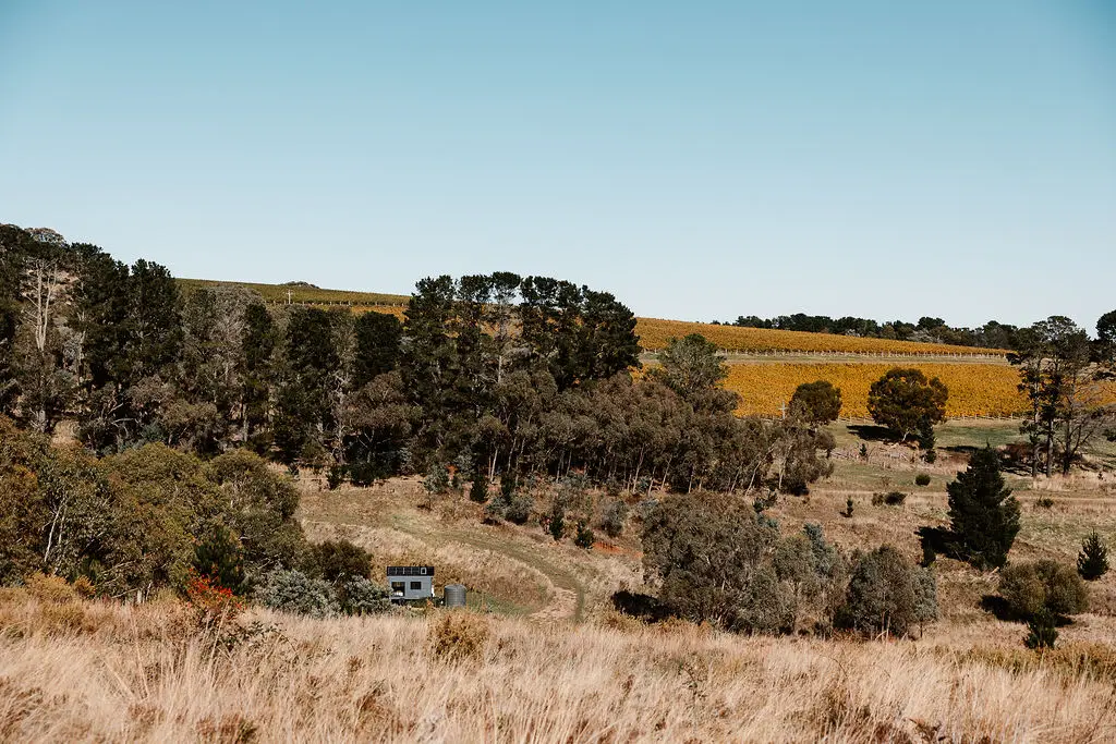 Named after Isabella Linton from Emily Bronte’s literary classic Wuthering Heights, Tiny Isabella is a classic adventure ready to transport you to another world.