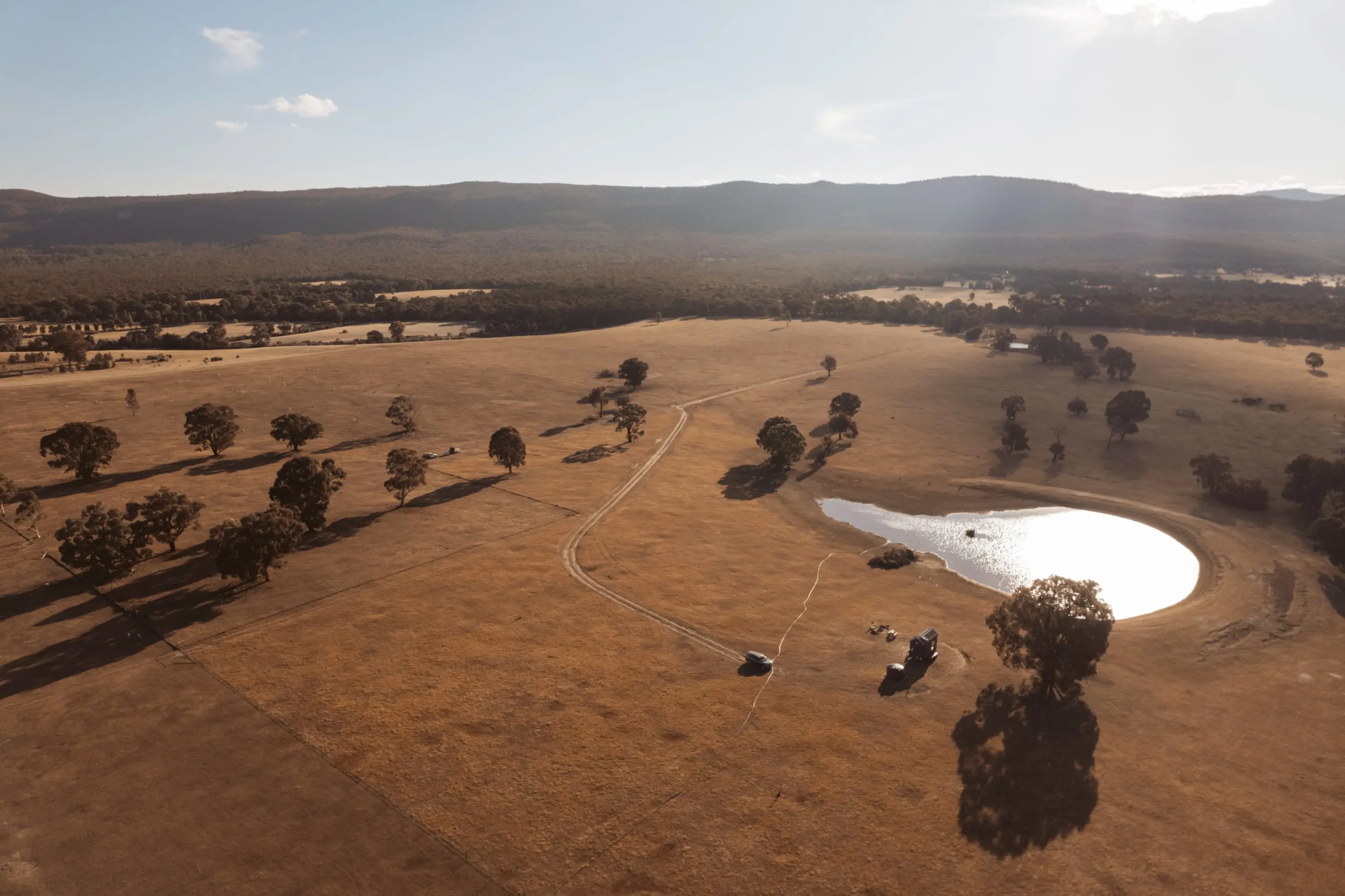 Tiny Elliott is named after the courageous young deuteragonist from the cult classic, E.T The Extra-Terrestrial.