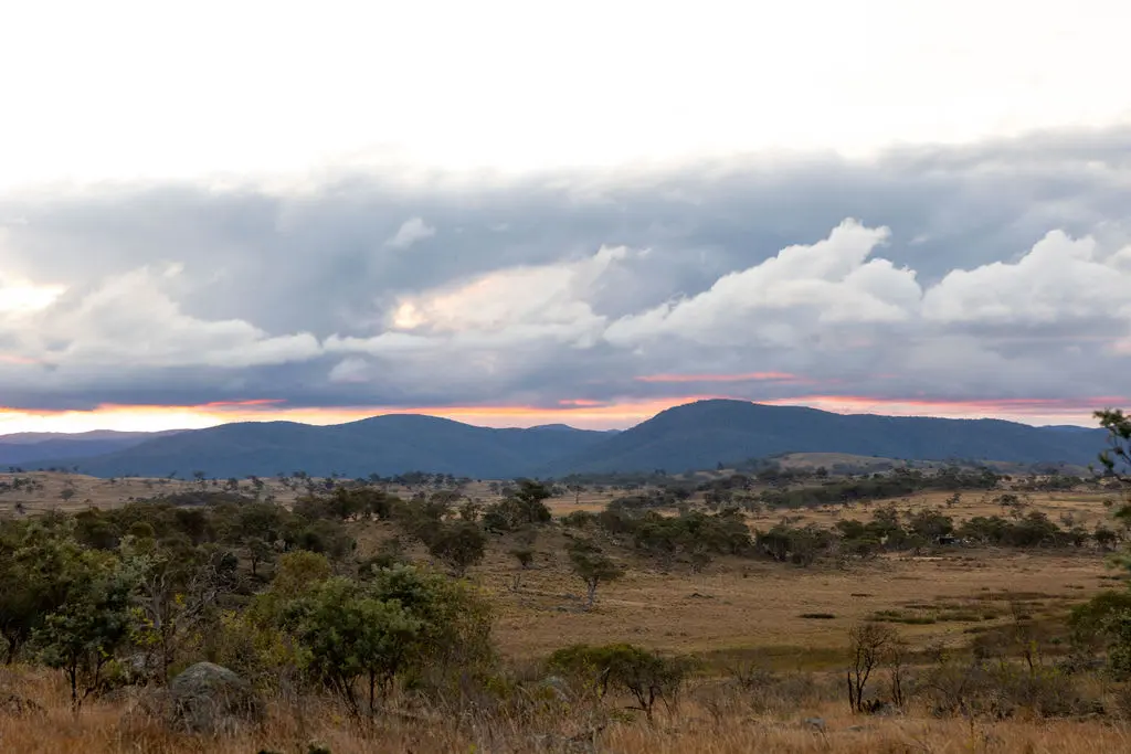 Aptly named after Elsie from the novel “Snowy to the Somme” by Peter Stanley. Elsie Mackenzie’s name evokes the historical and geographical backdrop of the Snowy Mountains region.