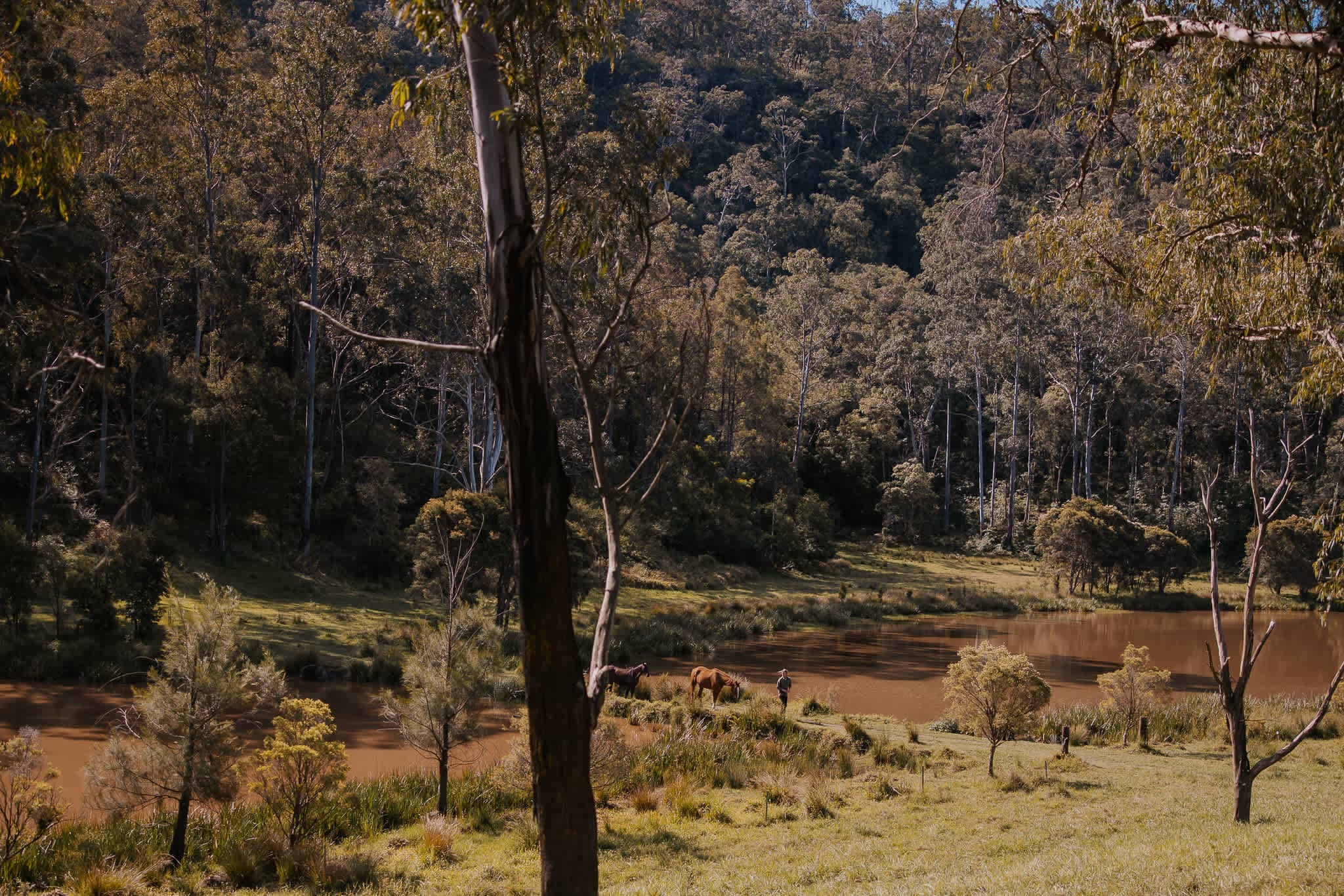 Inspired the surrounding horse farm, Tiny Thomas is named after The Horse Whisperer’s soulful protagonist of the same name.