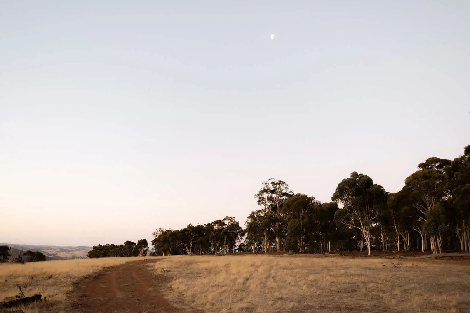 Tiny Jasper is named after Jasper Jones by Perth-based author Craig Silvey. It’s a gripping coming-of-age novel set in 1960s rural Western Australia. A modern Australian classic, it’s a poignant tale of growth, truth, and courage.